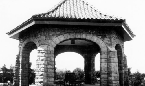 Committee reports: Your Association at Work