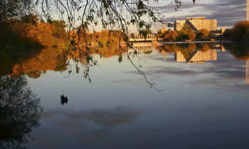 Lowertown Park Pieces