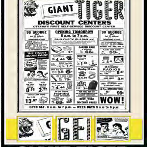 Giant Tiger at 98 George St